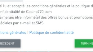 capture d'&eacute;cran conditions casino770
