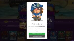 capture d'&eacute;cran validation du compte majestic slots