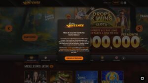 capture d'&eacute;cran finalisation de l'inscription casino intense