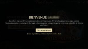 capture d'&eacute;cran verification inscription 4crowns