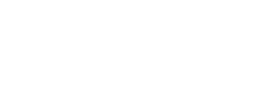 logo napoleon casino