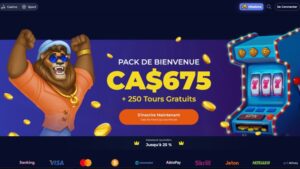 capture d'&eacute;cran page daccueil nine casino