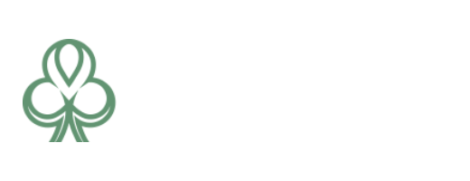 logo dublinbet casino