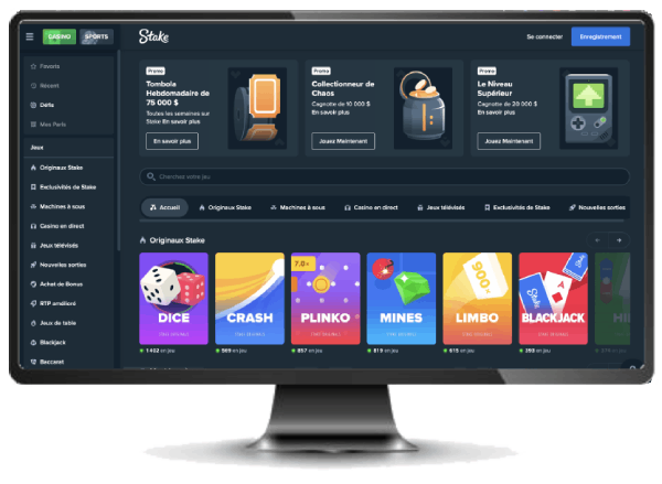 stake casino version desktop