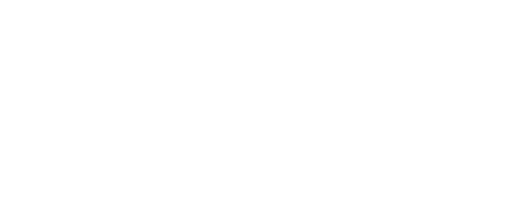 logo wild tornado