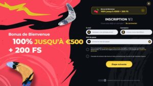 capture d'&eacute;cran formulaire boomerang casino