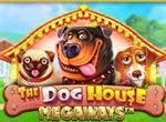 dog house unique casino