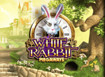 capture d'écran de white rabbit megaways