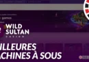Bannière des meilleures machines à sous Wild Sultan