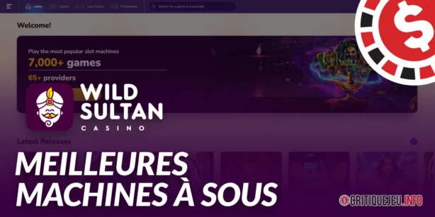 Les Meilleures Machines à Sous de Wild Sultan