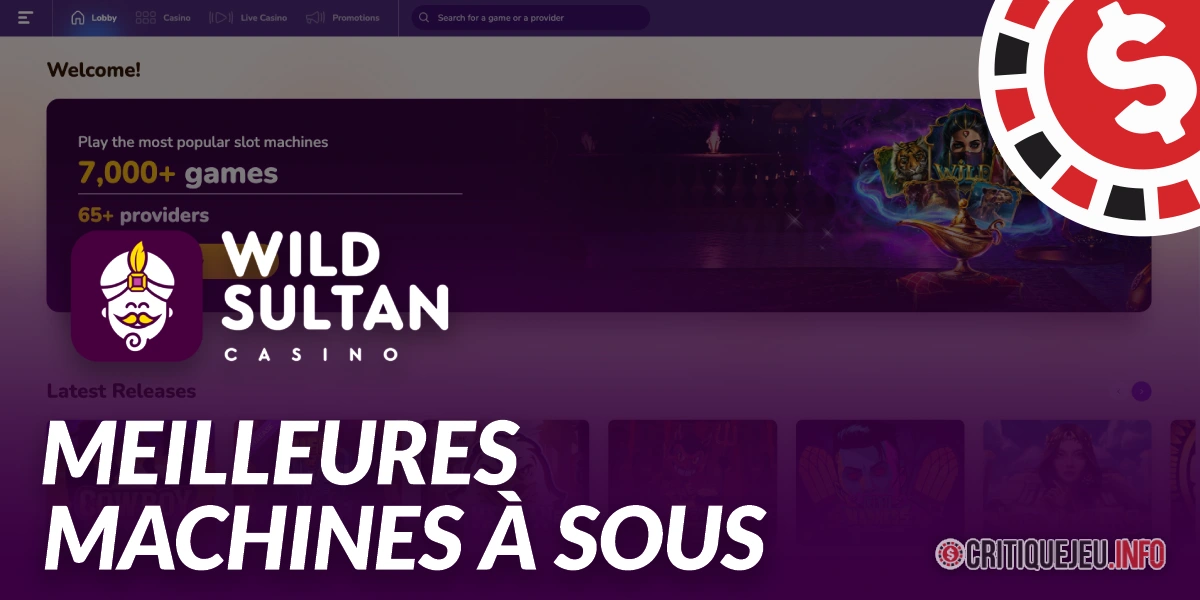 Machines à sous Wild Sultan