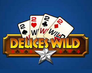 deuces wild play n go logo