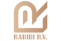 Rabidi N V