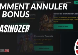 Comment annuler un bonus actif Casinozer ?
