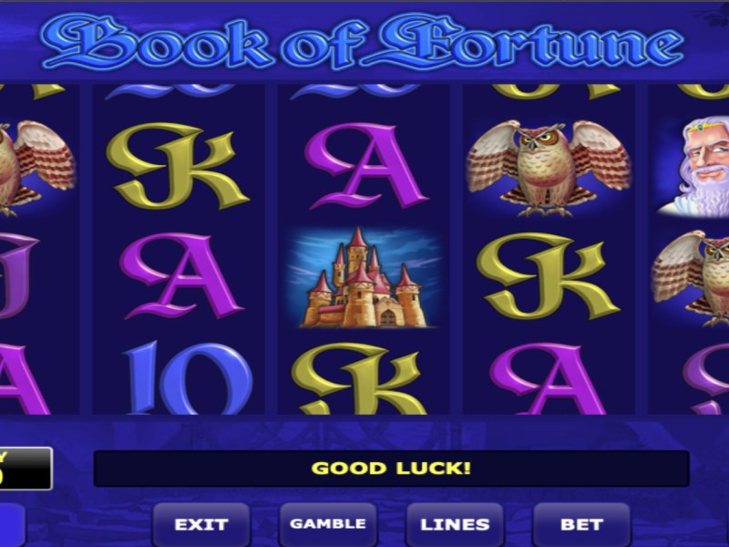 Book of Fortune capture d'écran