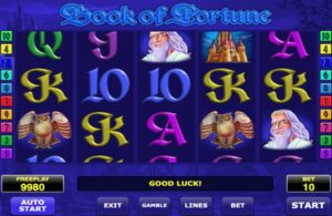 Interface de la machine a sous Book of Fortune