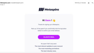 metaspins validation inscription