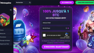 s'inscrire metaspins