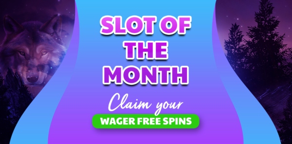 capture d'écran bonus slot of the month wolfy casino