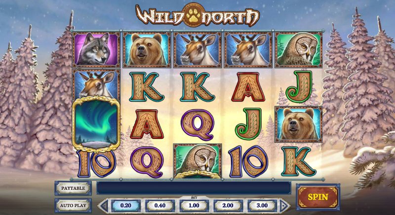capture d'écran slot wild north