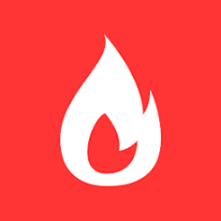 logo app flame