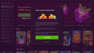 capture d'&eacute;cran malina casino validation compte