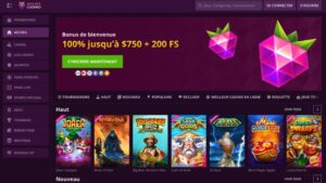 capture d'&eacute;cran maline casino page d'accueil