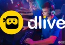 banniere top streamer casino dlive