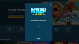 capture d'&eacute;cran nalu casino verification compte