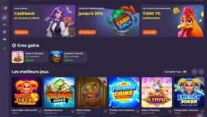 capture d'écran coolzino casino page d'accueil