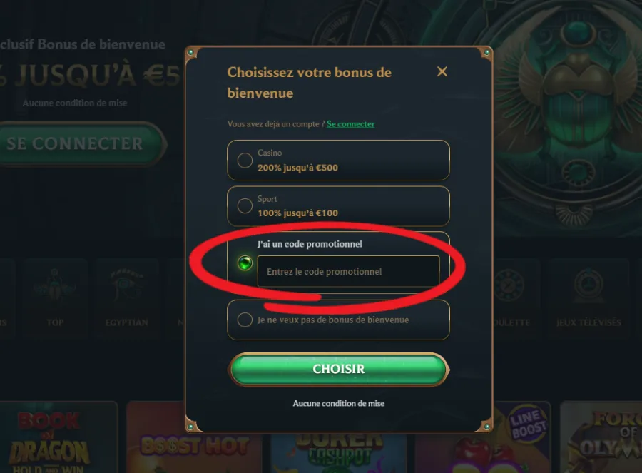 capture d'écran saisie du code promo Talismania