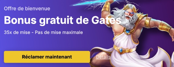 capture d'&eacute;cran spinsala casino bonus de bienvenue