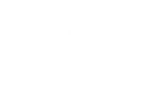 MrPunter