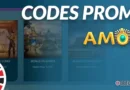 banniere codes promo amon