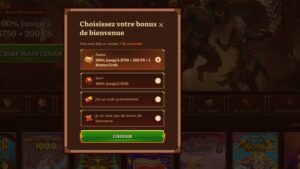 Capture d&rsquo;écran Wild Robin Casino Inscription 2