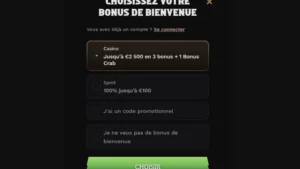 inscription wildsino etape 2