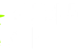 Billionaire Spin