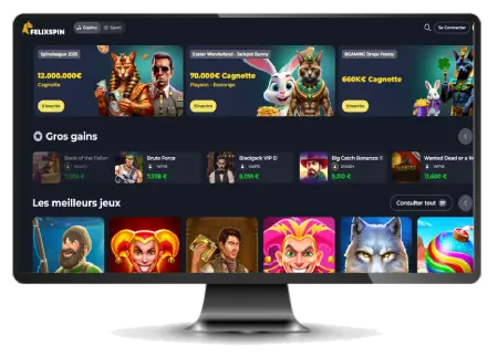 Interface sur ordinateur de Felixspin