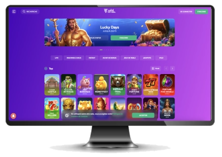 L'interface sur ordinateur du casino Wild Tornado