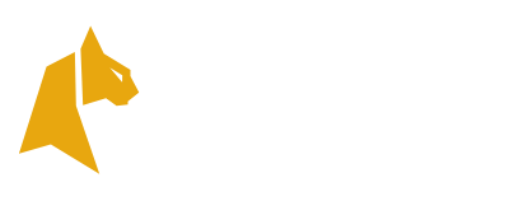 Felixspin