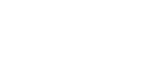 Lucky Max carousel