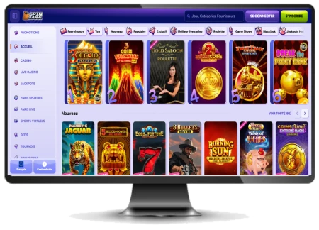 Capture d'écran de l'ergonomie du site SpinBara