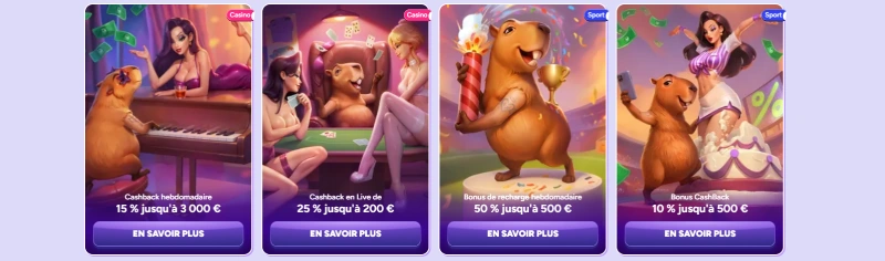 Capture d'&eacute;cran des promotions sur SpinBara