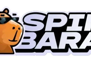 SpinBara