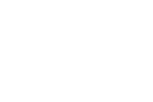 Spinsino