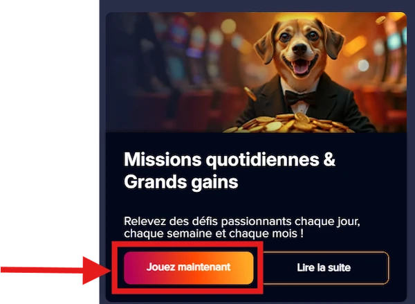 Capture d'écran d'un tournoi sur PuppyBet