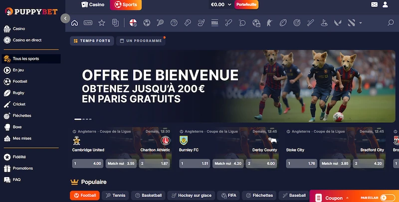 Capture d'écran de la page des paris sportifs sur PuppyBet