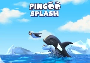 Pingoo Splash