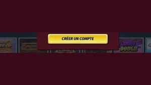 capture decran inscription etape5 allyspin