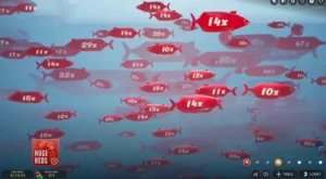 Banc de poisson rouges affichant les multiplicateurs
